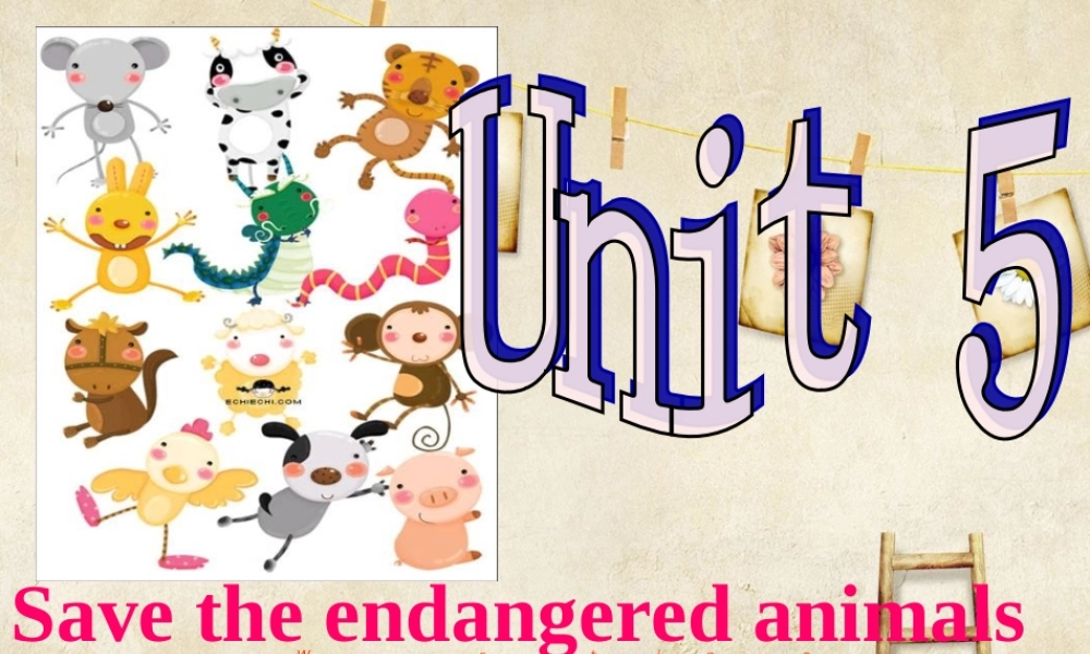 牛津深圳版八年级英语下册《Unit 5 Save the endangered animals》课件：Writing.ppt