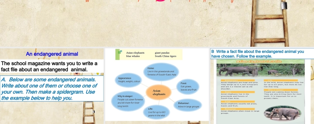 牛津深圳版八年级英语下册《Unit 5 Save the endangered animals》课件：Writing.ppt