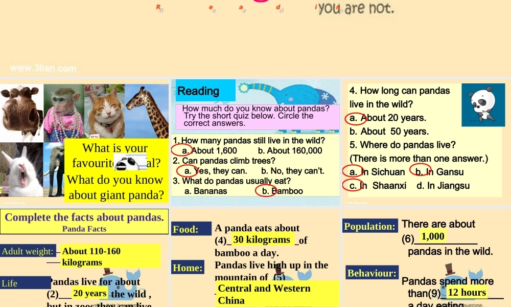 牛津深圳版八年级英语下册《Unit 5 Save the endangered animals》课件：Reading.ppt