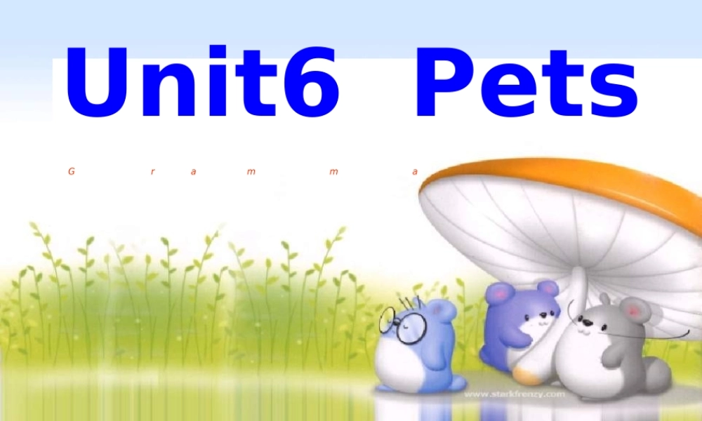 牛津深圳版八年级英语下册《Unit 6 Pets》课件：Grammar.ppt