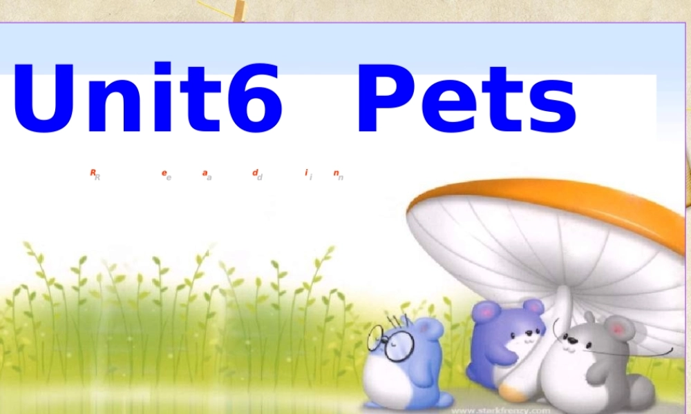 牛津深圳版八年级英语下册《Unit 6 Pets》课件：Reading.ppt