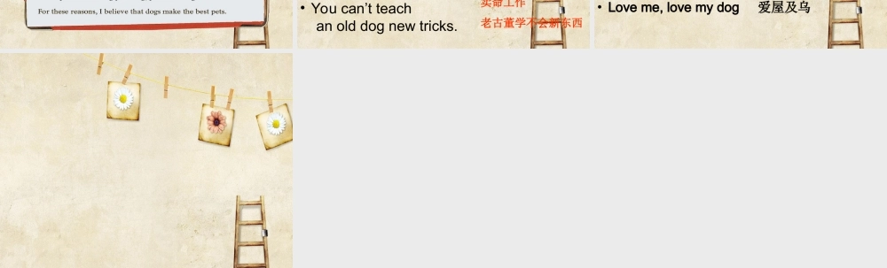 牛津深圳版八年级英语下册《Unit 6 Pets》课件：writing.ppt