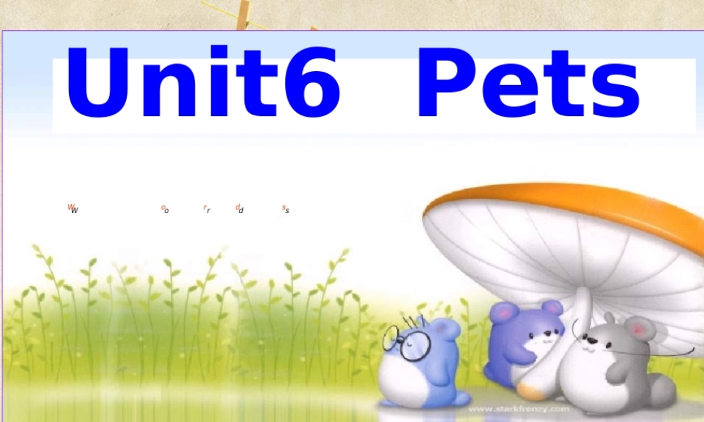牛津深圳版八年级英语下册《Unit 6 Pets》课件：Words.ppt