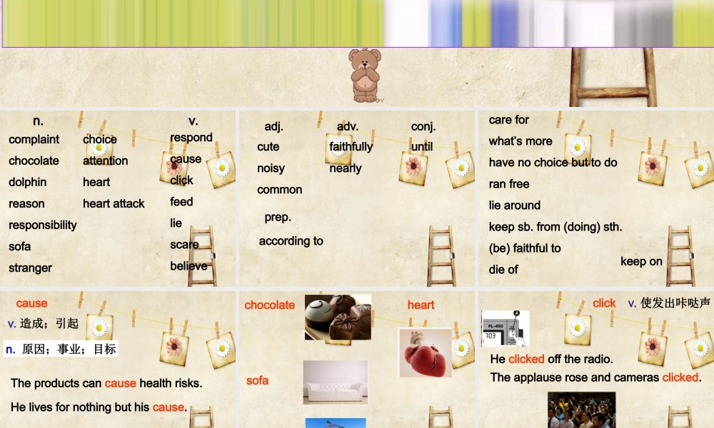 牛津深圳版八年级英语下册《Unit 6 Pets》课件：Words.ppt