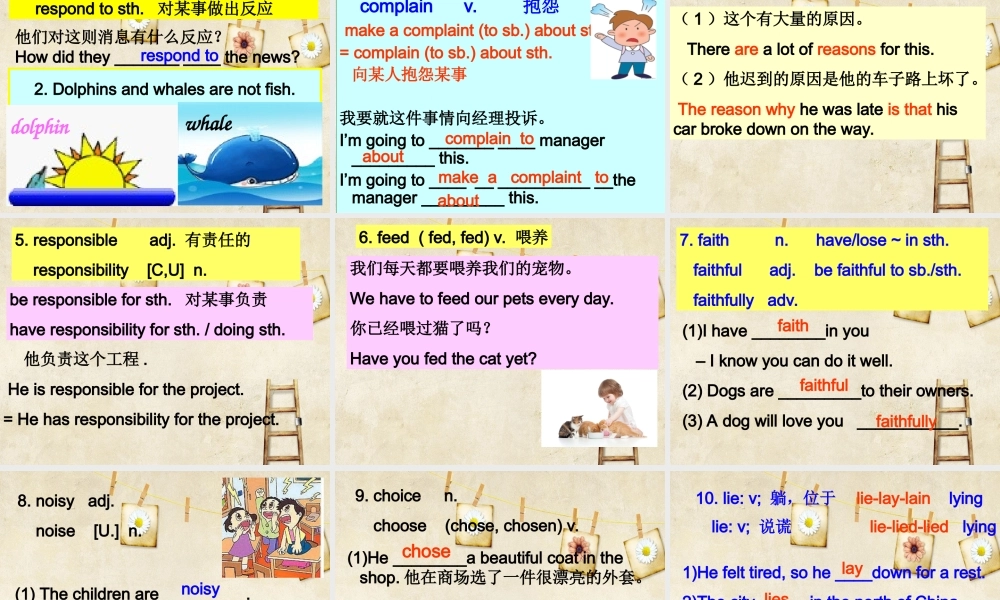 牛津深圳版八年级英语下册《Unit 6 Pets》课件：Words.ppt