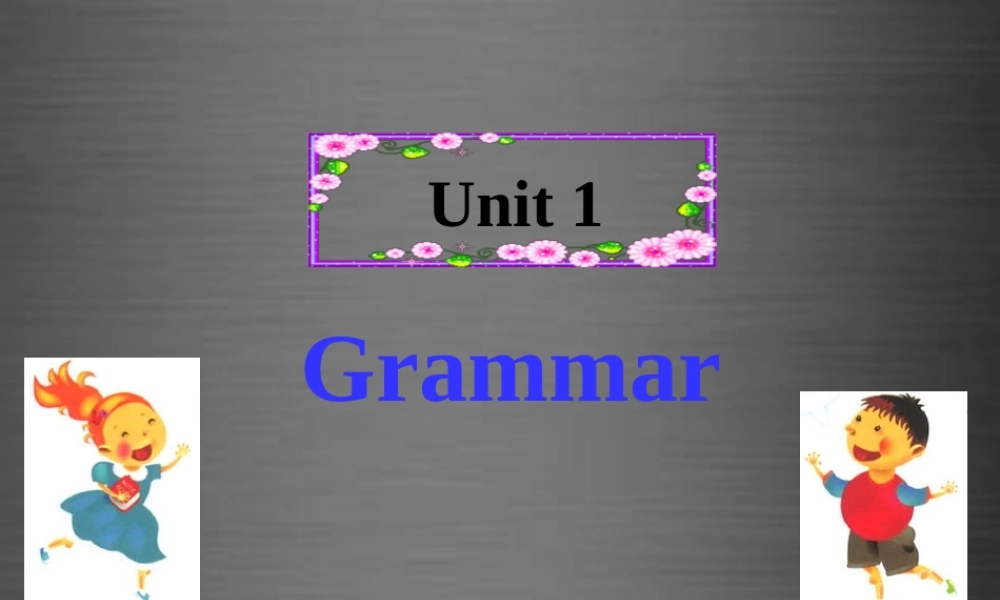 牛津深圳初中英语七上Unit 1《Making Friends Grammar》课件 .ppt
