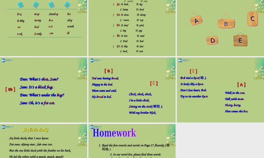 牛津深圳初中英语七上Unit 2 daily life Study skills课件 .ppt