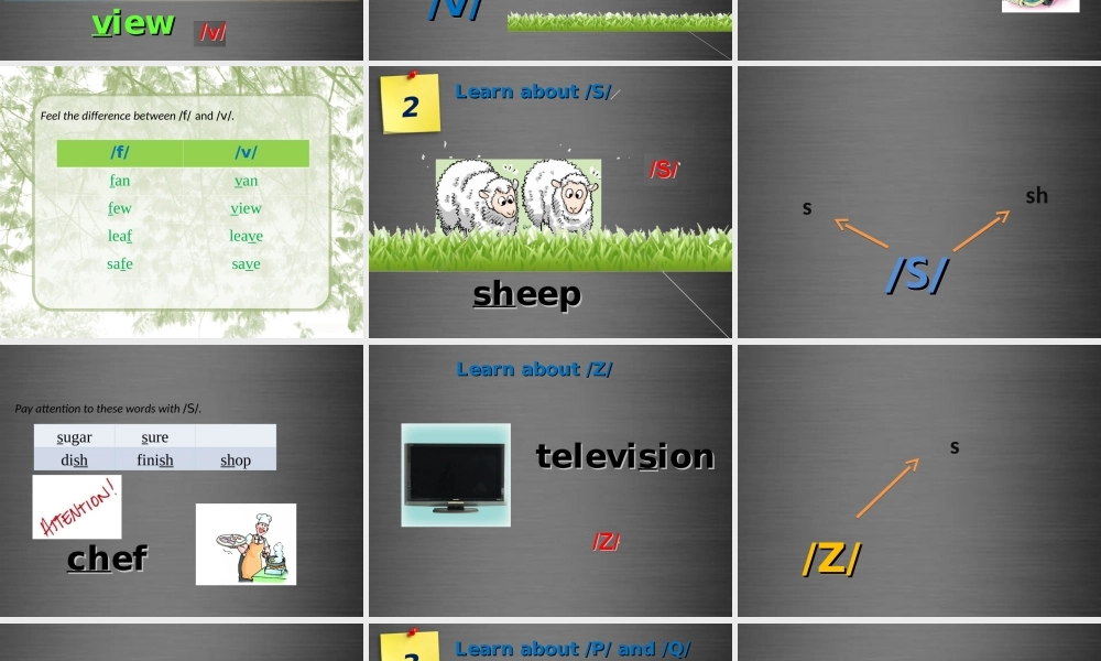 牛津深圳初中英语七上Unit 6 Travelling around Asia Period 5课件 .ppt
