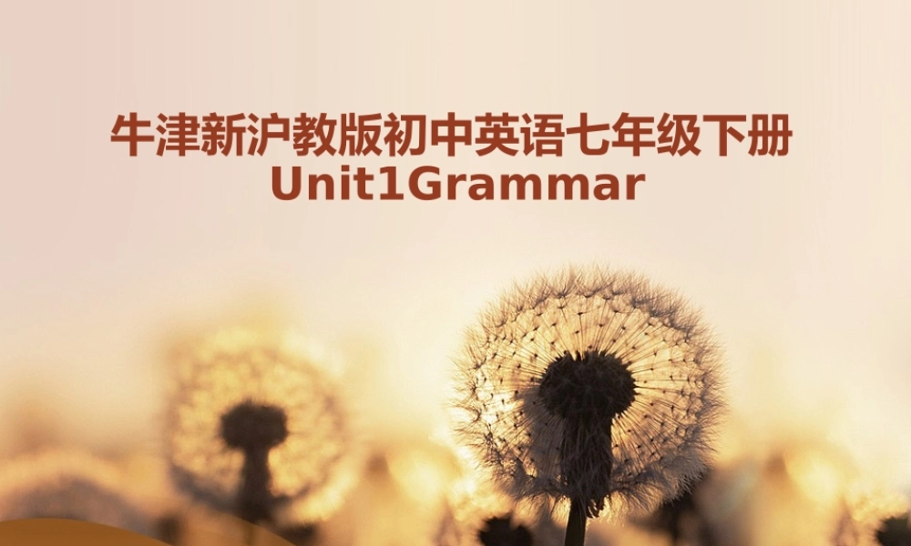 牛津深圳初中英语七下《Module1 Unit 1 People around us》PPT课件Grammar（共10张PPT）.ppt