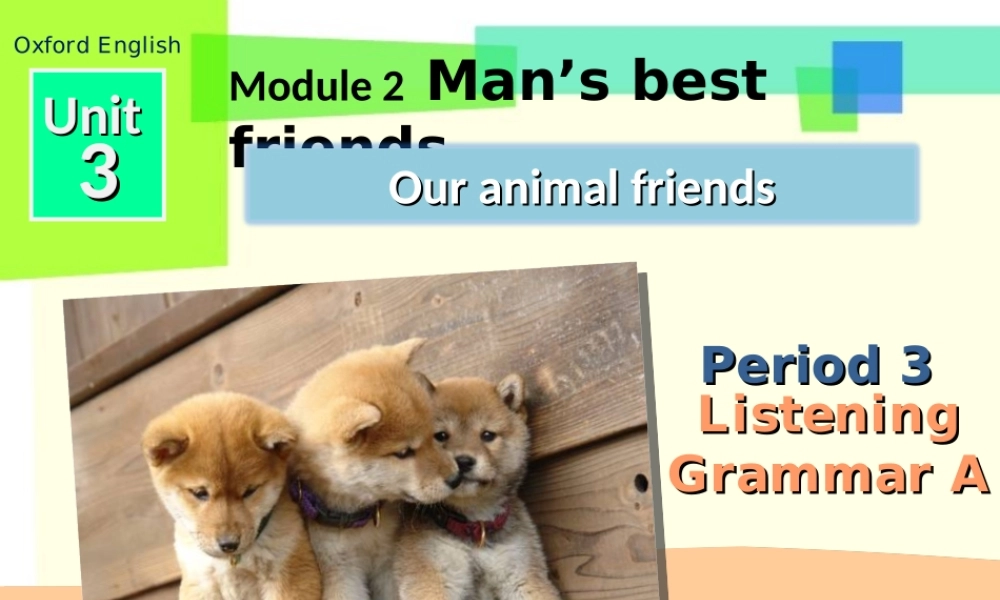 牛津深圳初中英语七下《Module2 Unit 3 Our animal friends.》PPT课件 Period 3.ppt