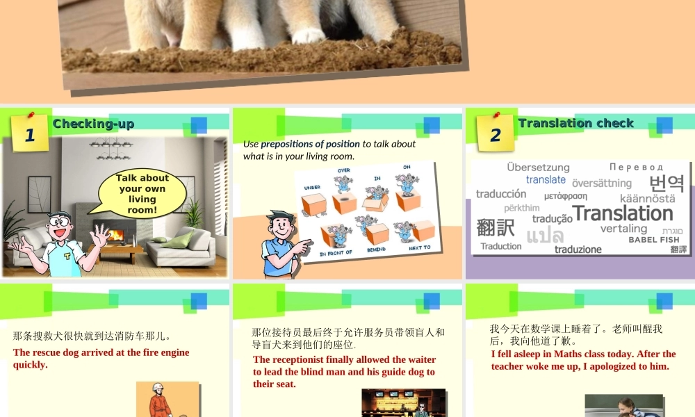 牛津深圳初中英语七下《Module2 Unit 3 Our animal friends.》PPT课件 Period 3.ppt