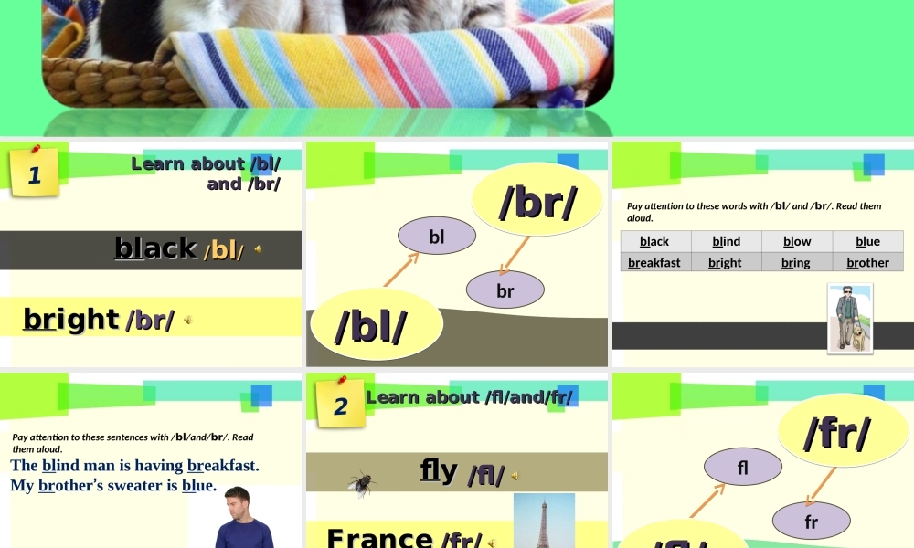 牛津深圳初中英语七下《Module2 Unit 3 Our animal friends.》PPT课件 Period 6.ppt