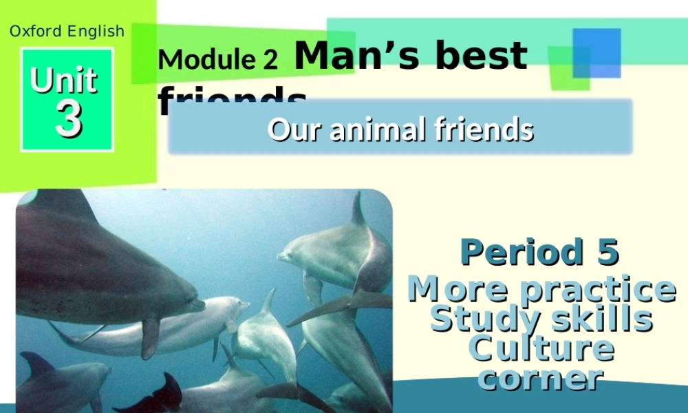 牛津深圳初中英语七下《Module2 Unit 3 Our animal friends.》PPT课件 Period 5.ppt