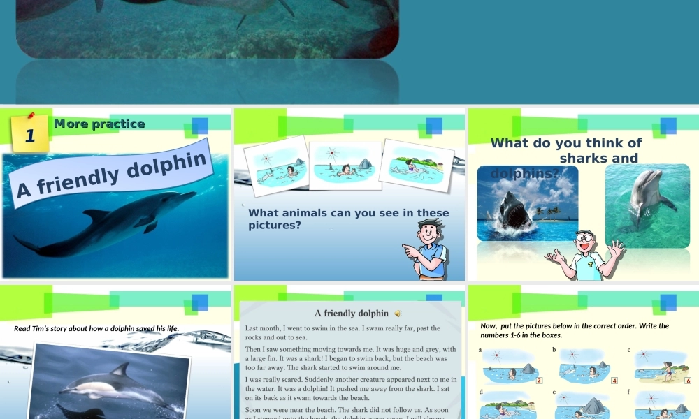 牛津深圳初中英语七下《Module2 Unit 3 Our animal friends.》PPT课件 Period 5.ppt