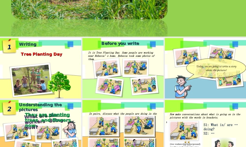 牛津深圳初中英语七下《Module2 Unit 4 Save the trees.》PPT课件Period 4.ppt