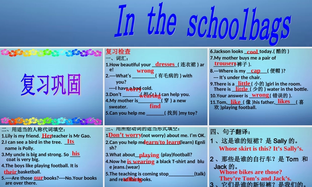 牛津译林初中英语七上《StarterLesson 5 Wonderful things》PPT课件 (1).ppt