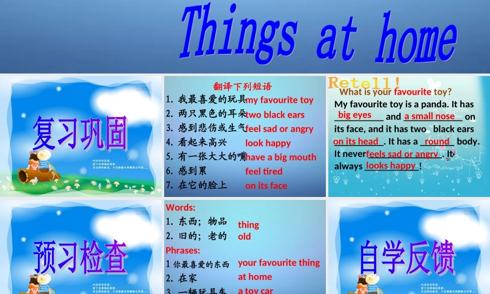 牛津译林初中英语七上《StarterLesson 5 Wonderful things》PPT课件 (4).ppt