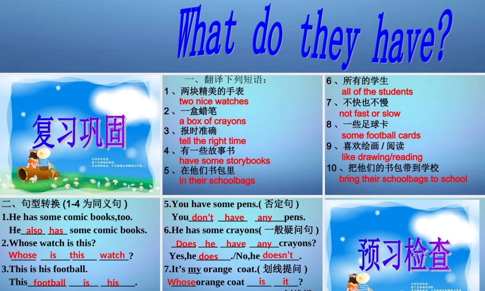 牛津译林初中英语七上《StarterLesson 5 Wonderful things》PPT课件 (2).ppt