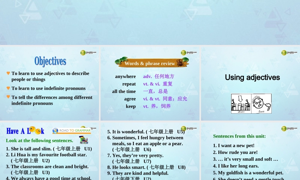 牛津译林初中英语七下Unit 8 Pets Grammar课件 .ppt