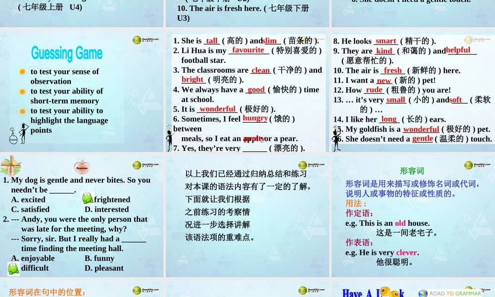 牛津译林初中英语七下Unit 8 Pets Grammar课件 .ppt