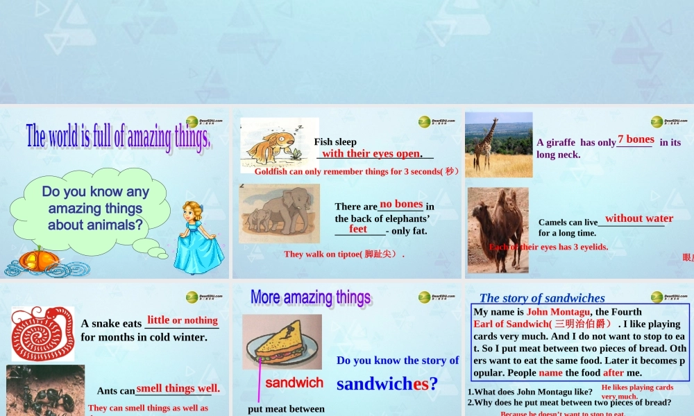 牛津译林初中英语七下Unit 5 Amazing things Task课件 .ppt