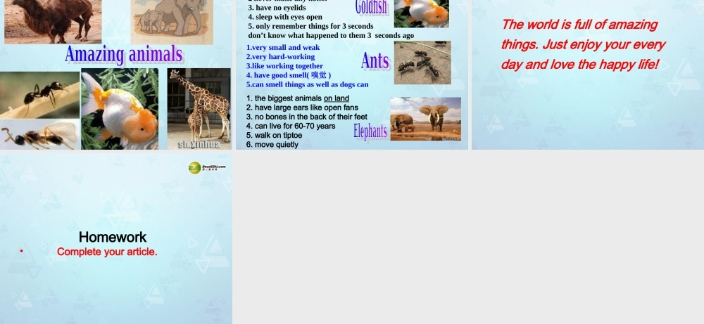 牛津译林初中英语七下Unit 5 Amazing things Task课件 .ppt