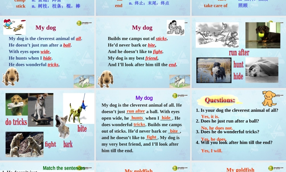 牛津译林初中英语七下Unit 8 Pets Reading课件 .ppt