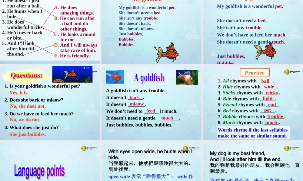 牛津译林初中英语七下Unit 8 Pets Reading课件 .ppt