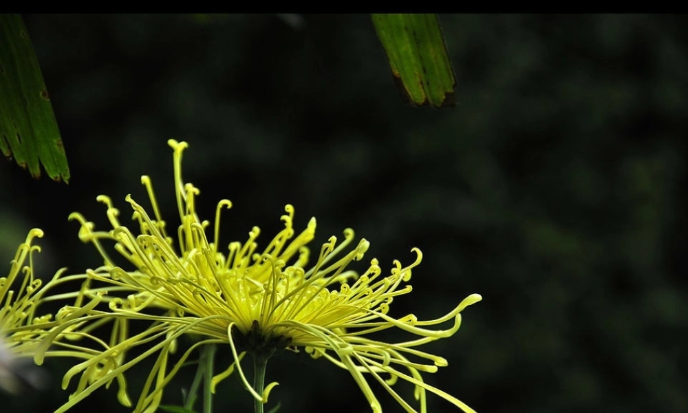 牛津译林初中英语七下 Unit 3 Welcome to Sunshine Town Welcome课件 .ppt