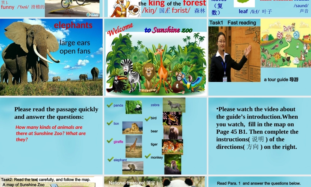 牛津译林初中英语七下 Unit 4 Finding your way Reading课件 .ppt