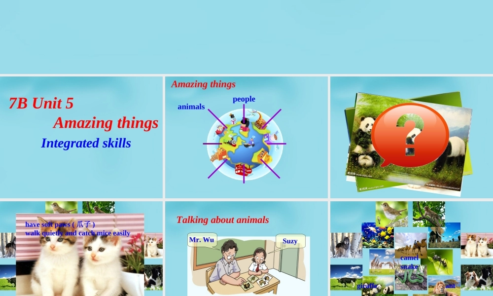 牛津译林初中英语七下 Unit 5 Amazing things Integrated skills课件 .ppt