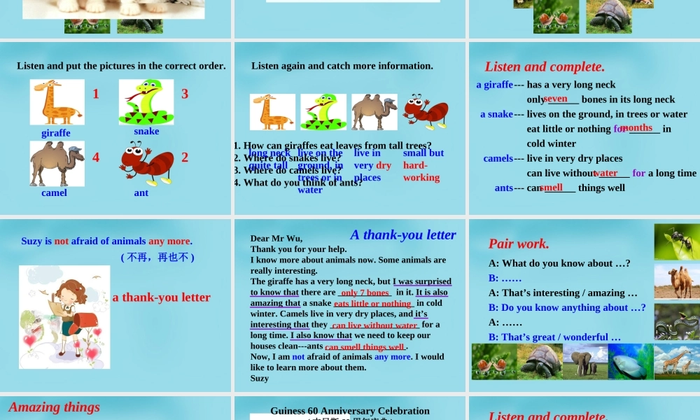 牛津译林初中英语七下 Unit 5 Amazing things Integrated skills课件 .ppt