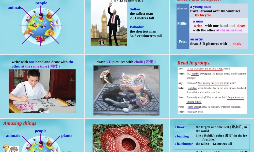 牛津译林初中英语七下 Unit 5 Amazing things Integrated skills课件 .ppt