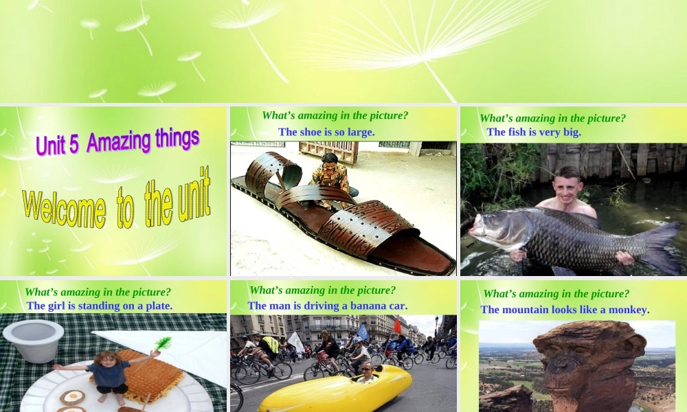 牛津译林初中英语七下 Unit 5 Amazing things welcome to the unit课件 .ppt