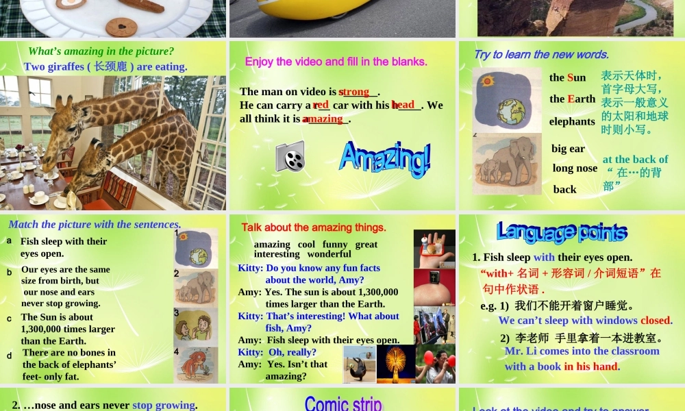 牛津译林初中英语七下 Unit 5 Amazing things welcome to the unit课件 .ppt