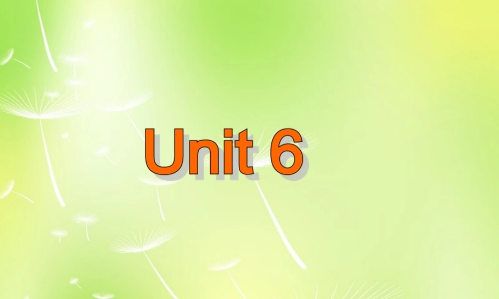 牛津译林初中英语七下 Unit 6 Outdoor fun Grammar课件 .ppt