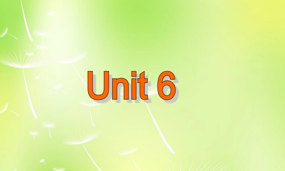 牛津译林初中英语七下 Unit 6 Outdoor fun Integrated skills课件 .ppt