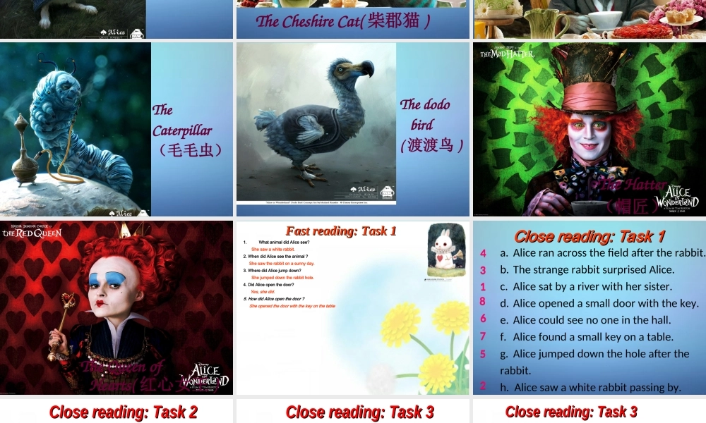 牛津译林初中英语七下 Unit 6 Outdoor fun Reading课件 .ppt