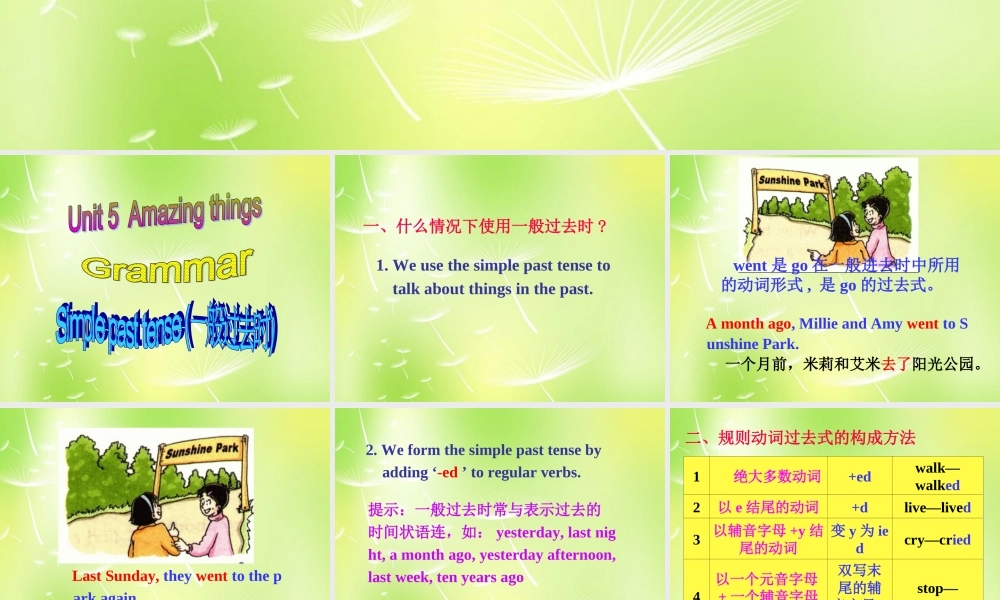 牛津译林初中英语七下 Unit 5 Amazing things Grammar课件 .ppt