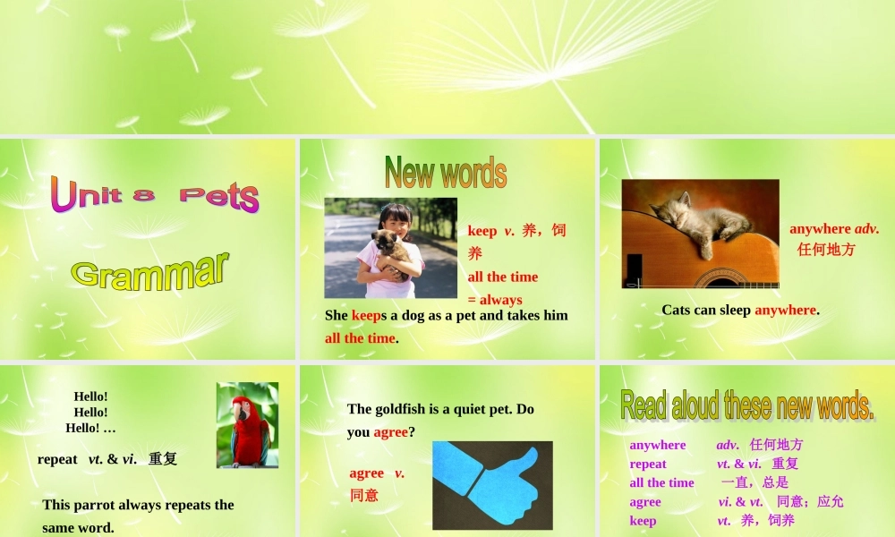 牛津译林初中英语七下 Unit 8 Pets Grammar课件 .ppt