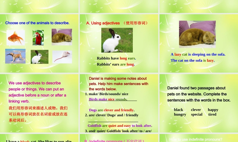 牛津译林初中英语七下 Unit 8 Pets Grammar课件 .ppt