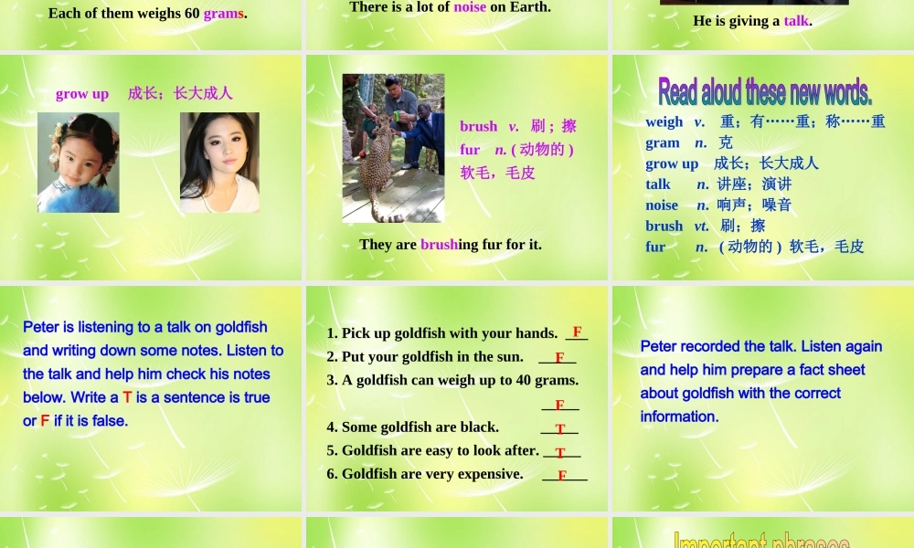 牛津译林初中英语七下 Unit 8 Pets Integrated skills课件 .ppt