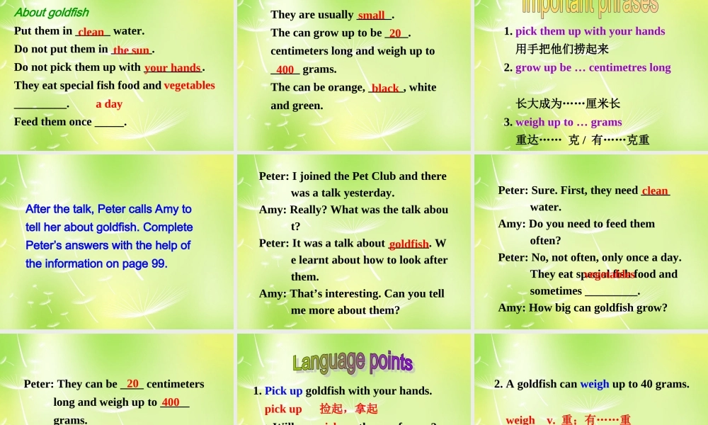 牛津译林初中英语七下 Unit 8 Pets Integrated skills课件 .ppt