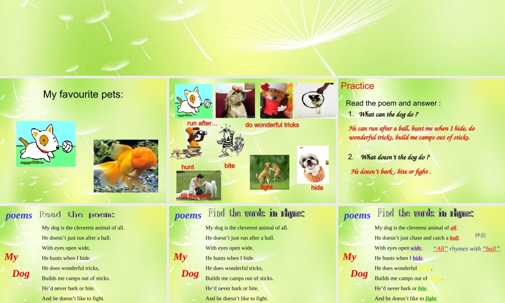 牛津译林初中英语七下 Unit 8 Pets Reading 1课件 .ppt