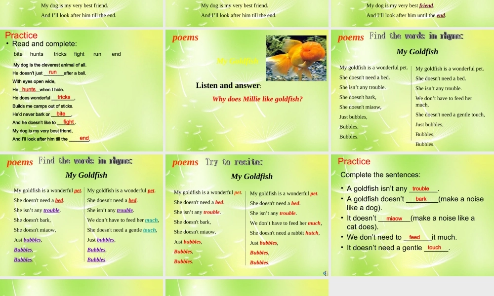 牛津译林初中英语七下 Unit 8 Pets Reading 1课件 .ppt