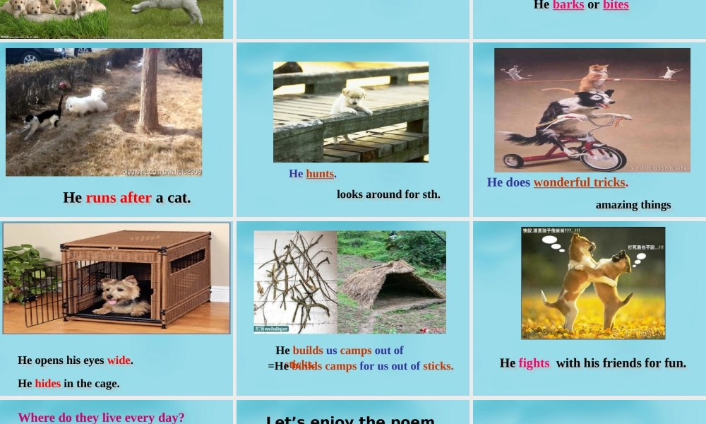 牛津译林初中英语七下 Unit 8 Pets Reading课件 .ppt