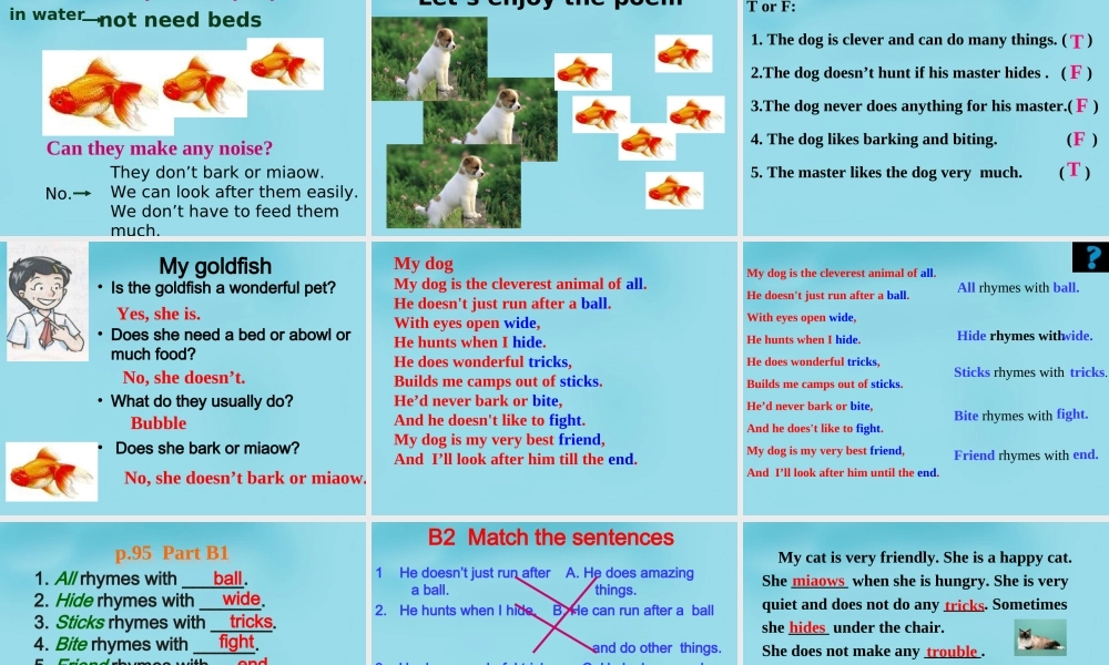 牛津译林初中英语七下 Unit 8 Pets Reading课件 .ppt