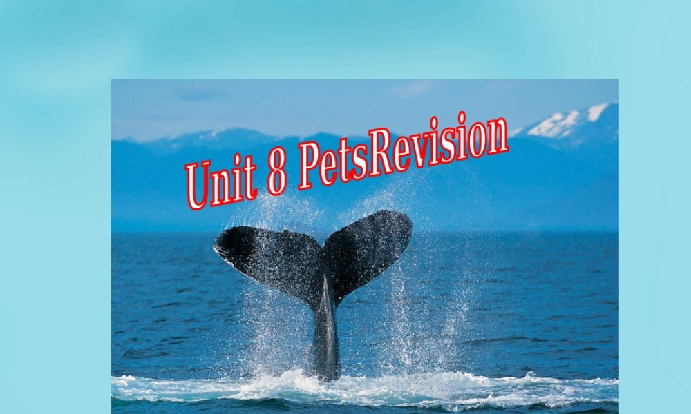 牛津译林初中英语七下 Unit 8 Pets Revision课件 .ppt