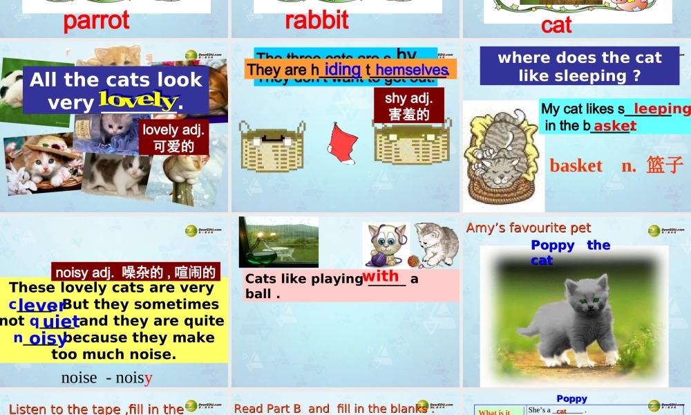 牛津译林初中英语七下 Unit 8 Pets Task课件 .ppt