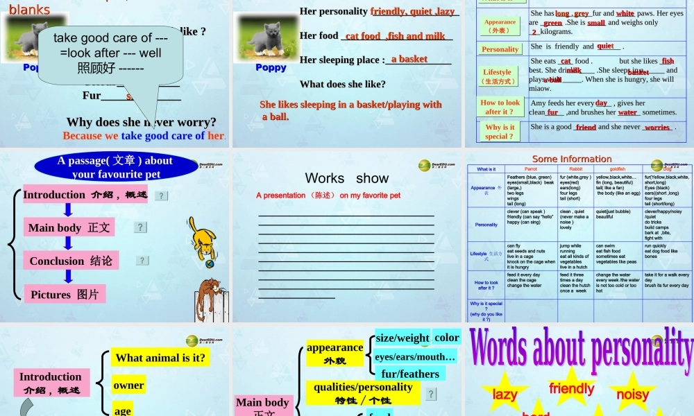 牛津译林初中英语七下 Unit 8 Pets Task课件 .ppt